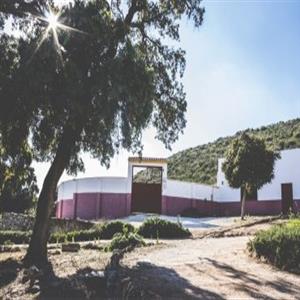 Plaza